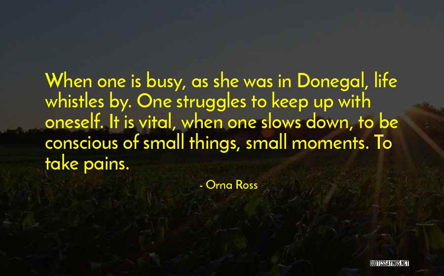 Busy Life Quotes By Orna Ross