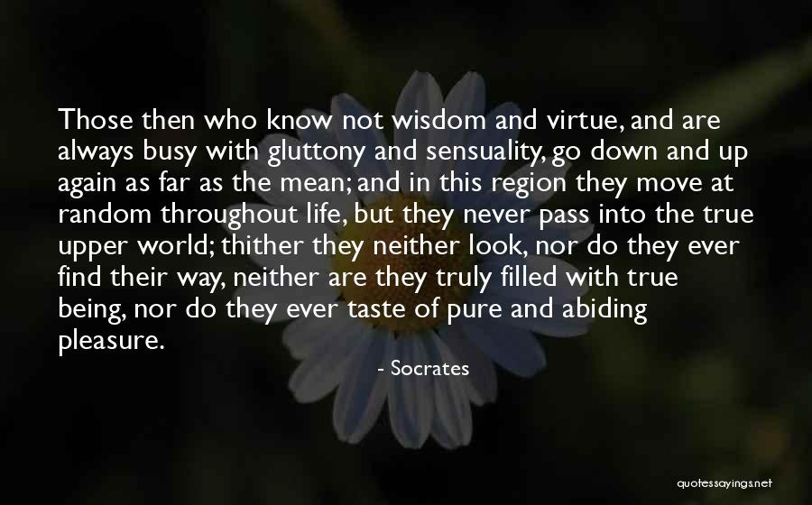 Busy Life Quotes By Socrates