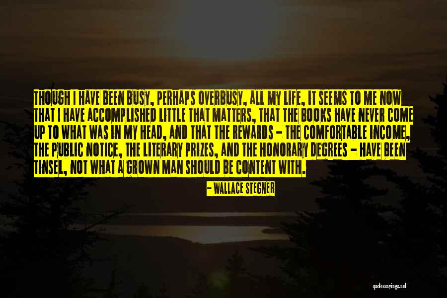 Busy Life Quotes By Wallace Stegner