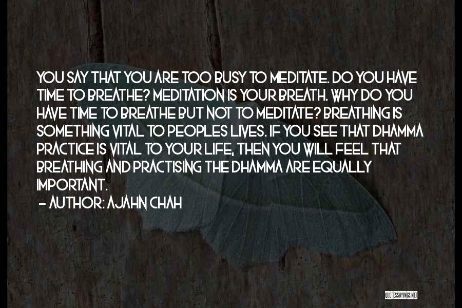 Busy Lives Quotes By Ajahn Chah