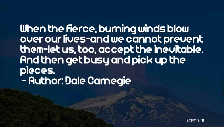 Busy Lives Quotes By Dale Carnegie