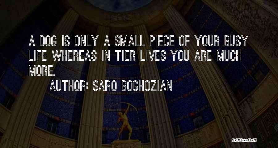 Busy Lives Quotes By Saro Boghozian