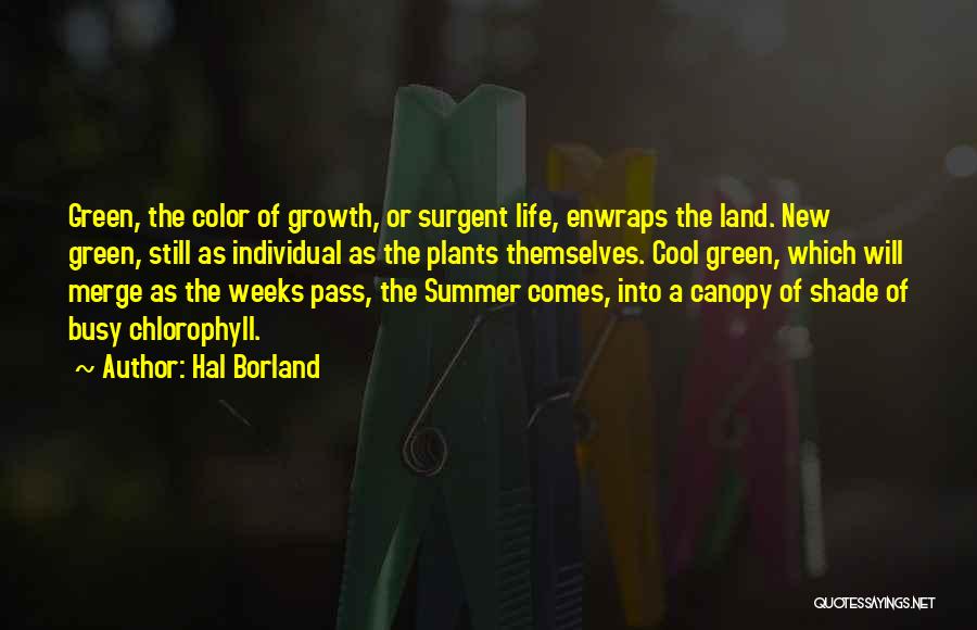 Busy Weeks Quotes By Hal Borland