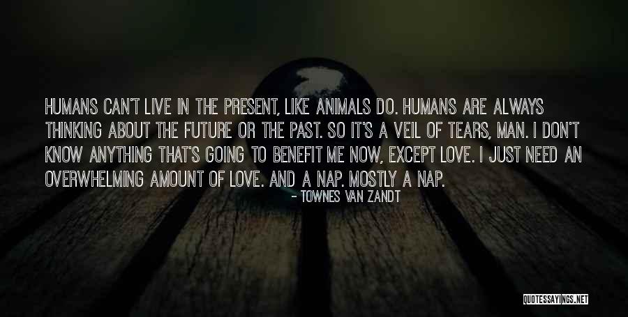 But Chest Workouts Quotes By Townes Van Zandt But Chest Workouts Quotes By Townes Van Zandt