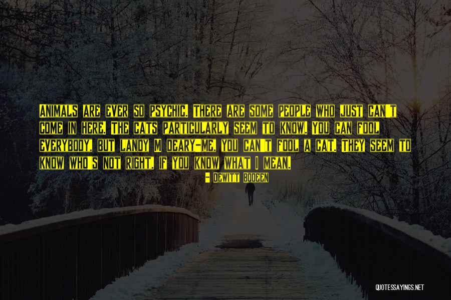 But Here You Are Quotes By Dewitt Bodeen But Here You Are Quotes By Dewitt Bodeen