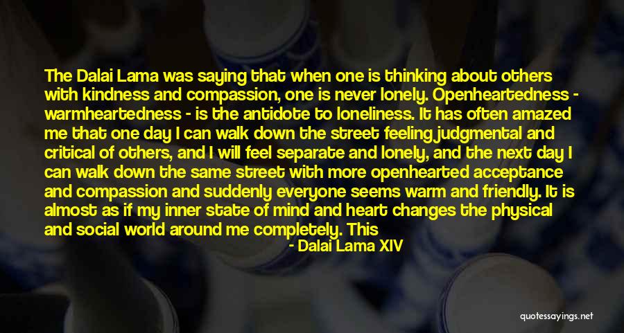 But I Never Feel Lonely Quotes By Dalai Lama XIV But I Never Feel Lonely Quotes By Dalai Lama XIV