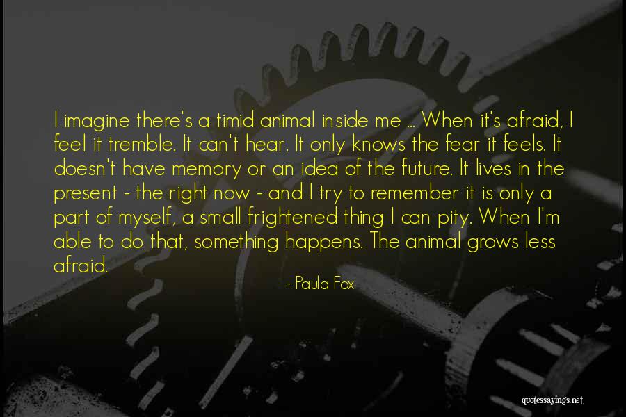 But Inside They Are Afraid Quotes By Paula Fox But Inside They Are Afraid Quotes By Paula Fox