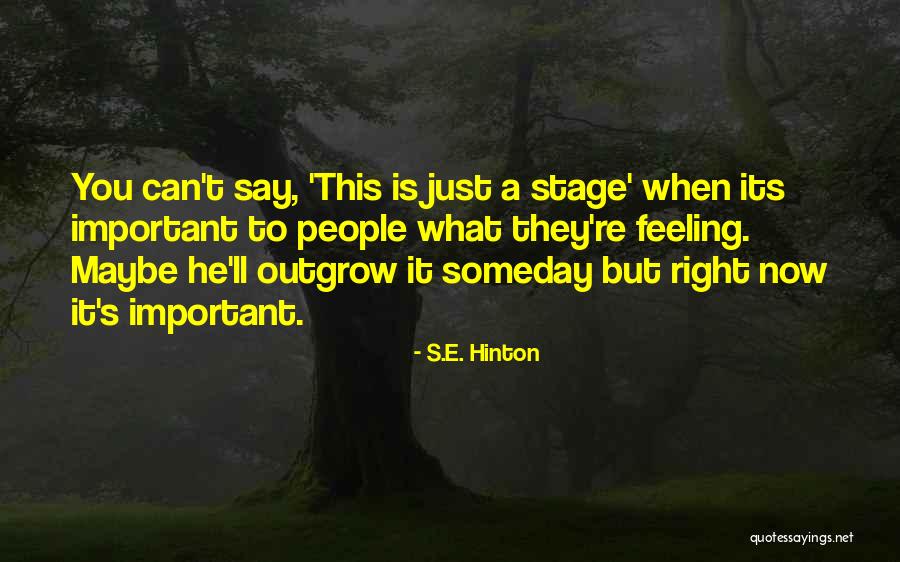 But Maybe Someday Quotes By S.E. Hinton But Maybe Someday Quotes By S.E. Hinton