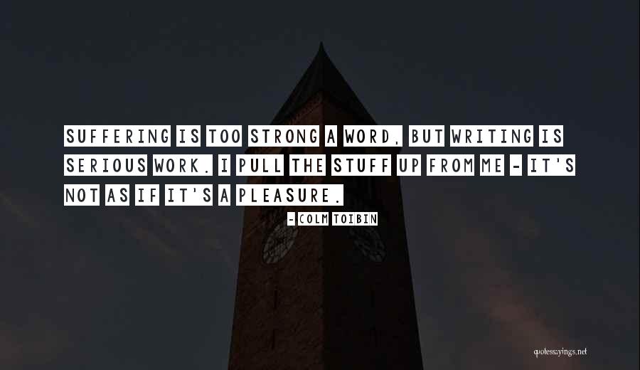 But Serious Quotes By Colm Toibin