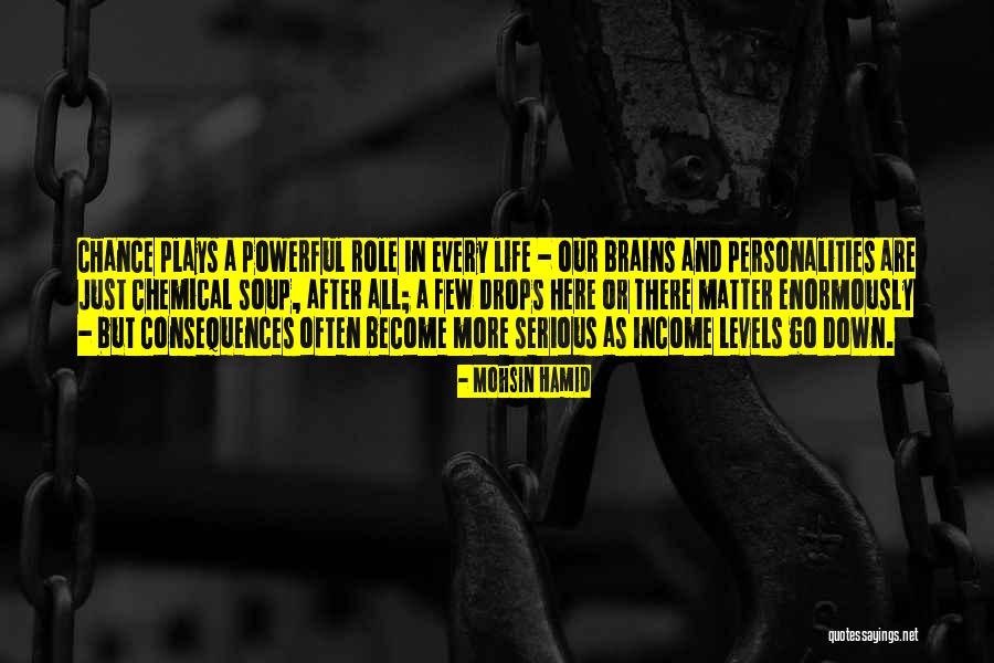 But Serious Quotes By Mohsin Hamid