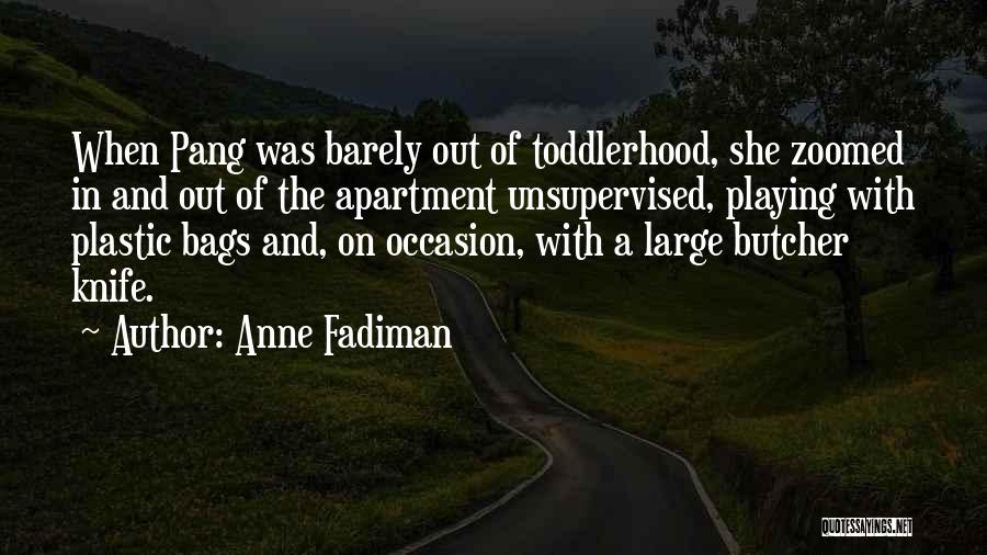 Butcher Knife Quotes By Anne Fadiman