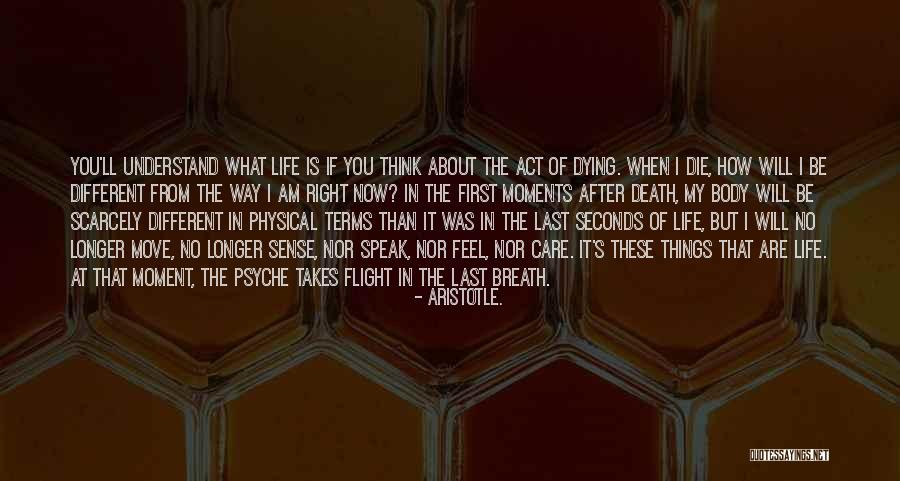 Butchies Quotes By Aristotle. Butchies Quotes By Aristotle.