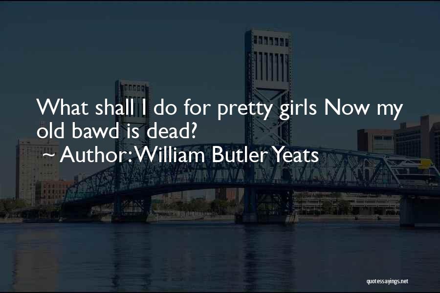 Butler Quotes By William Butler Yeats