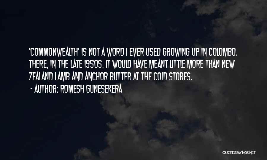 Butter Up Quotes By Romesh Gunesekera