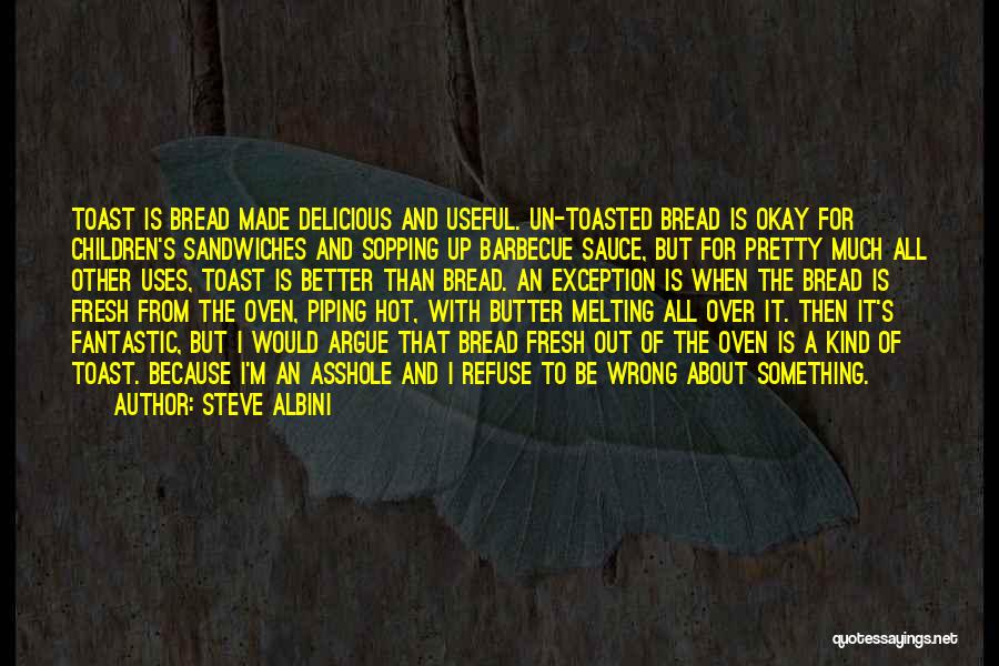 Butter Up Quotes By Steve Albini