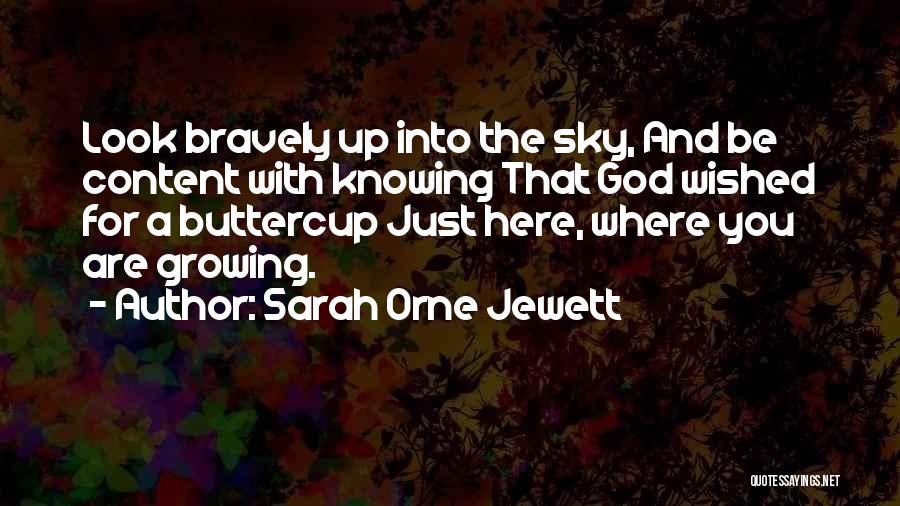 Buttercup Quotes By Sarah Orne Jewett