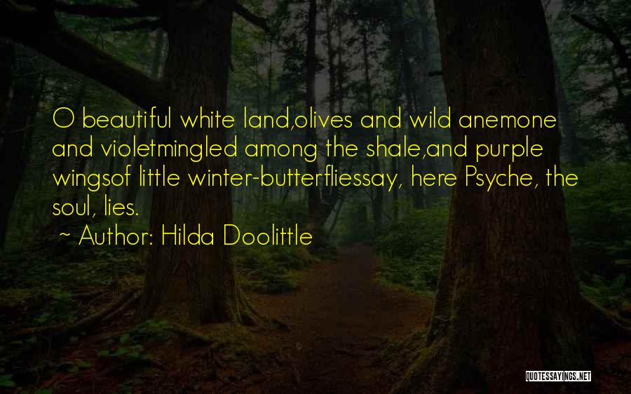 Butterflies And Beauty Quotes By Hilda Doolittle