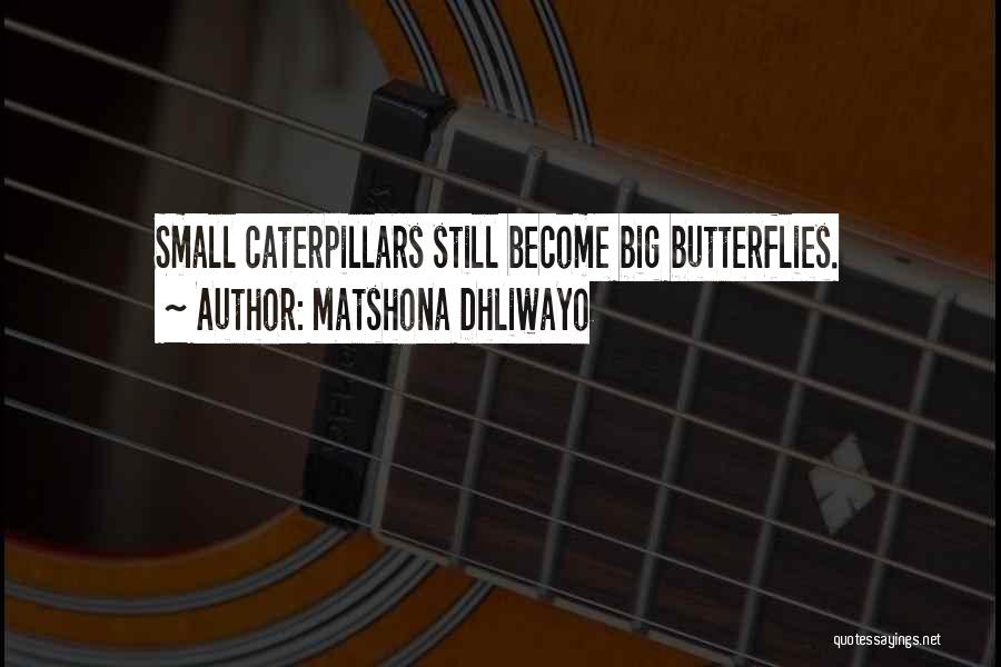 Butterflies And Caterpillars Quotes By Matshona Dhliwayo