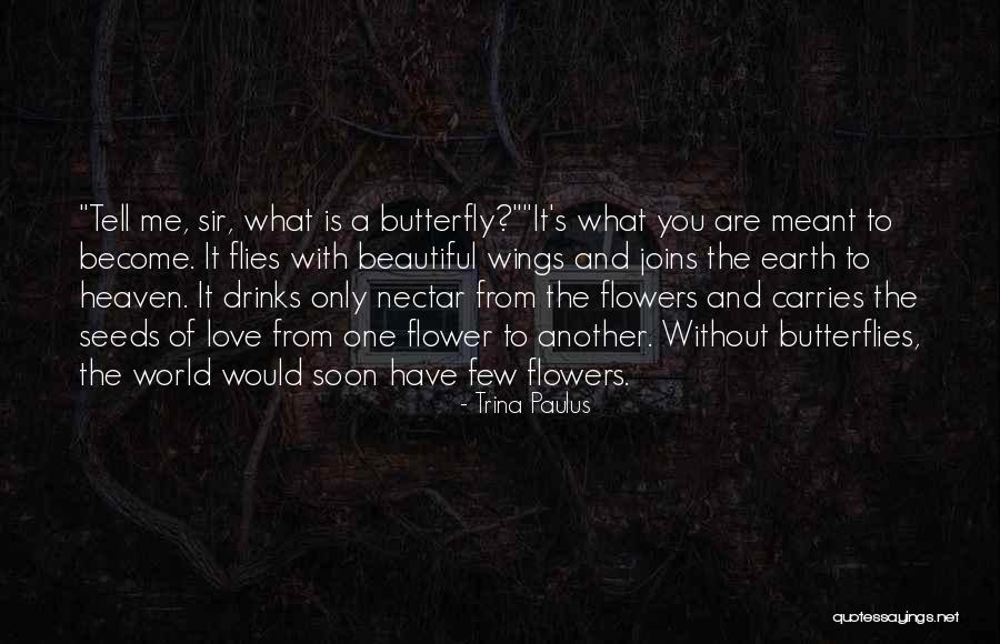 Butterflies And Flowers Quotes By Trina Paulus