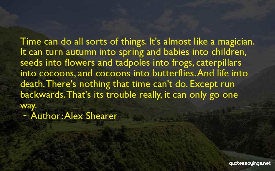 Butterflies And Life Quotes By Alex Shearer