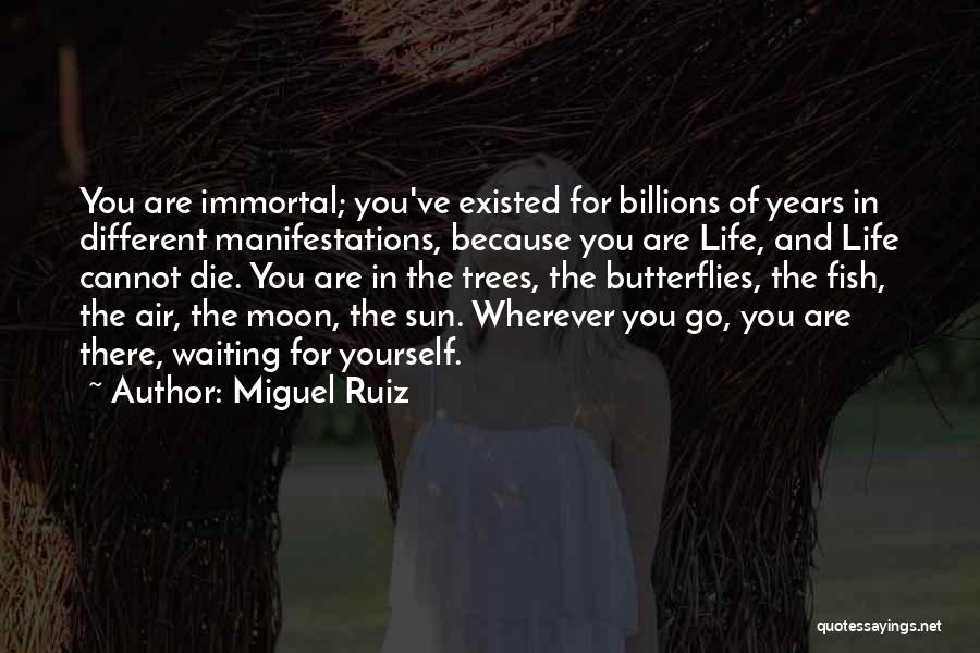 Butterflies And Life Quotes By Miguel Ruiz
