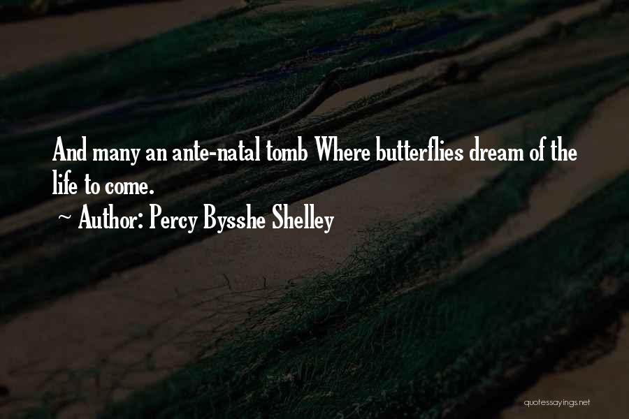 Butterflies And Life Quotes By Percy Bysshe Shelley