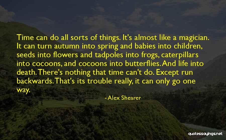 Butterflies And Spring Quotes By Alex Shearer Butterflies And Spring Quotes By Alex Shearer