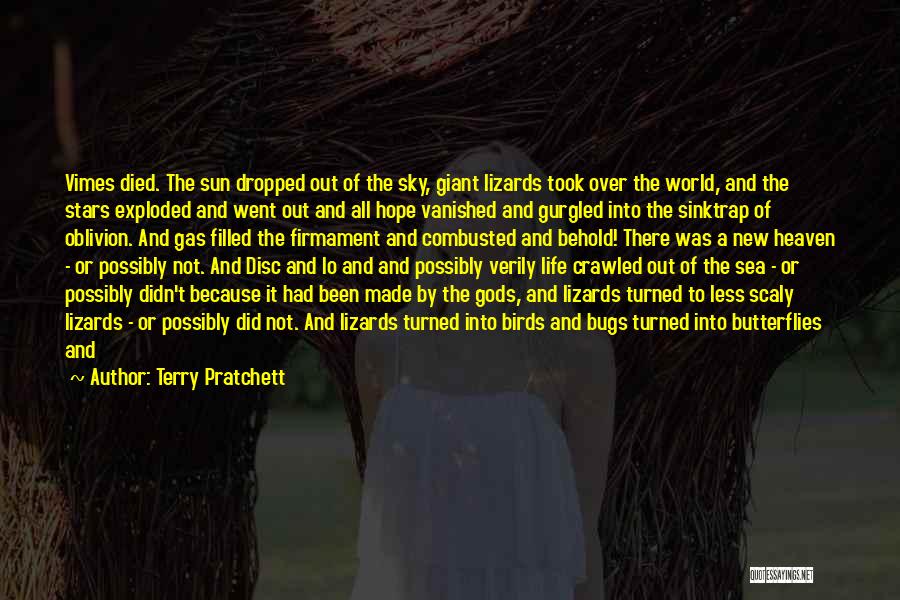 Butterflies Because Of Him Quotes By Terry Pratchett