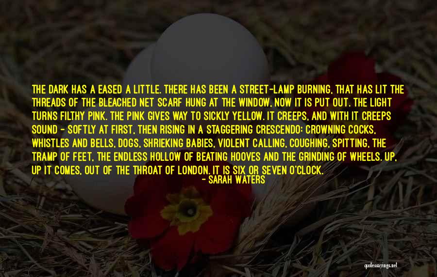 Butterflies Chrysalis Quotes By Sarah Waters Butterflies Chrysalis Quotes By Sarah Waters
