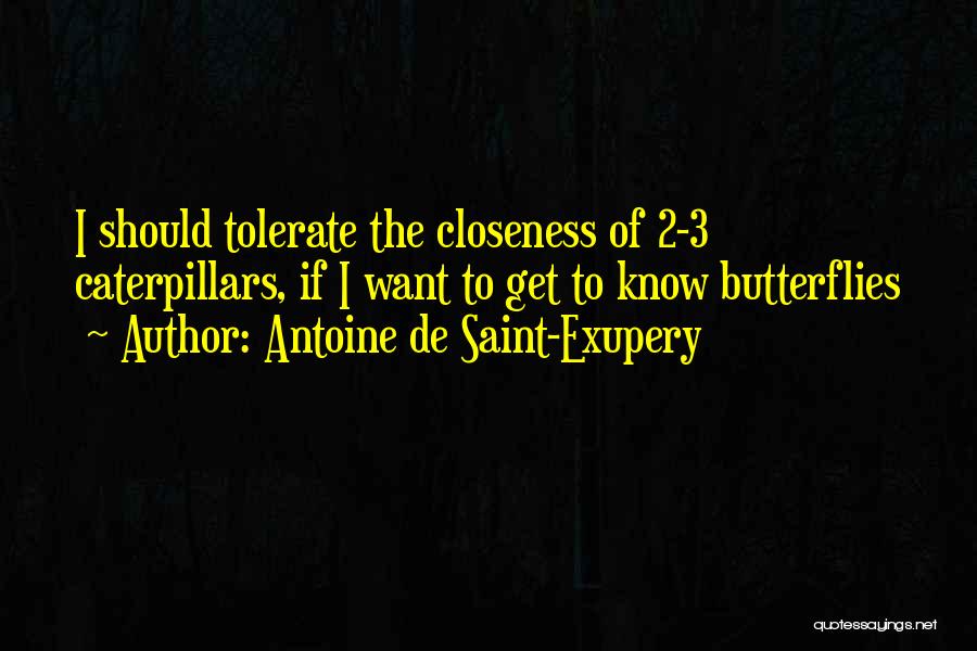 Butterflies Quotes By Antoine De Saint-Exupery