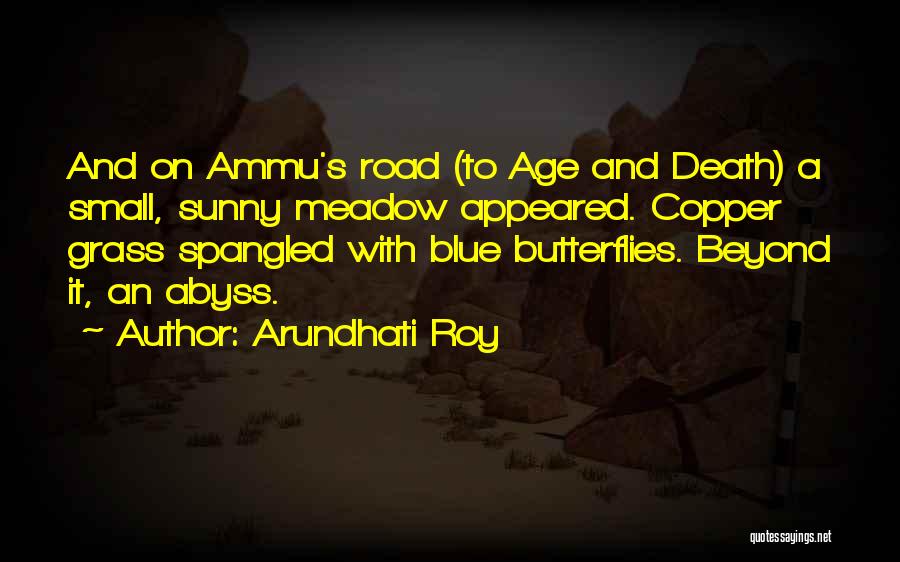 Butterflies Quotes By Arundhati Roy