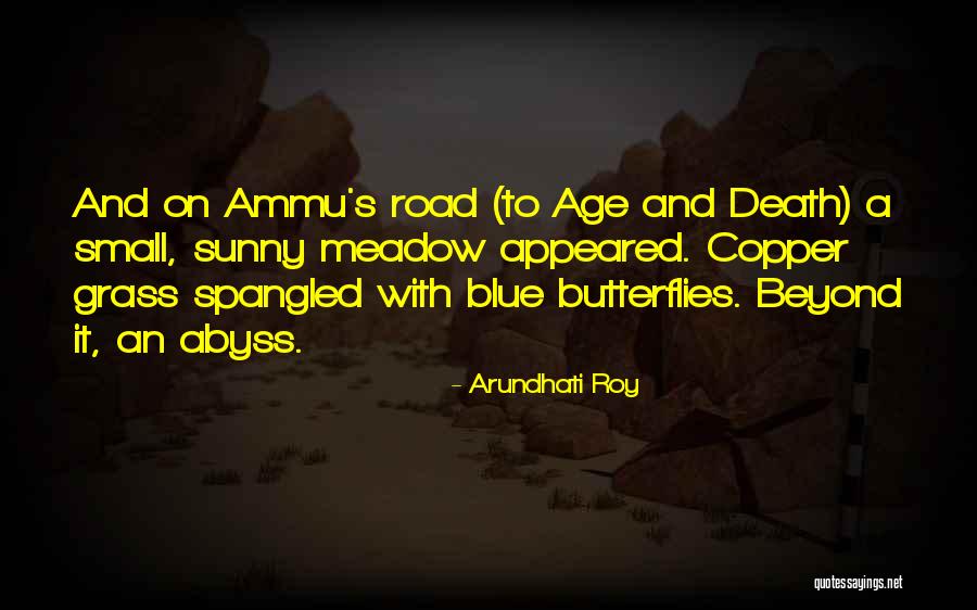 Butterflies Quotes By Arundhati Roy