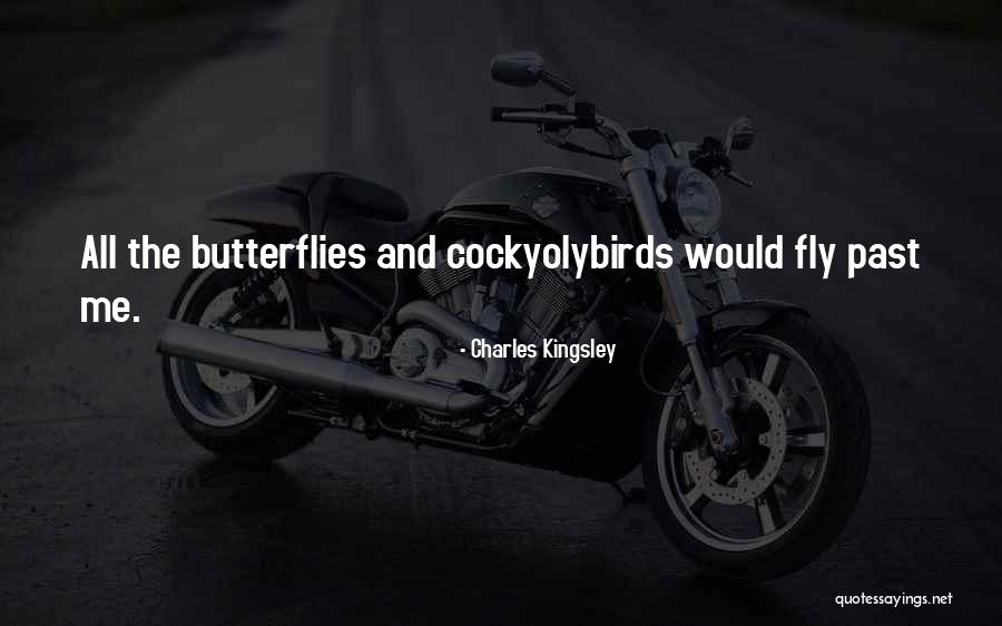 Butterflies Quotes By Charles Kingsley