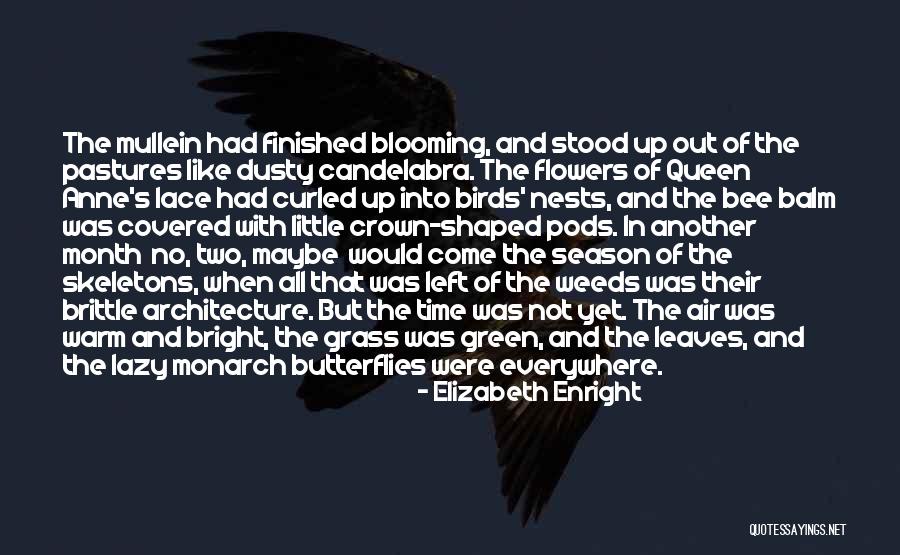 Butterflies Quotes By Elizabeth Enright Butterflies Quotes By Elizabeth Enright
