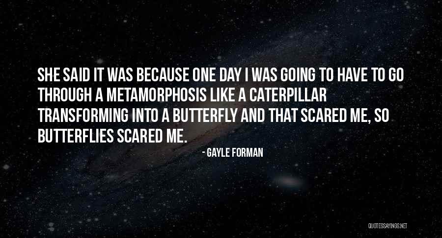 Butterflies Quotes By Gayle Forman