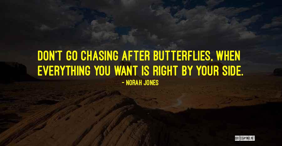 Butterflies Quotes By Norah Jones