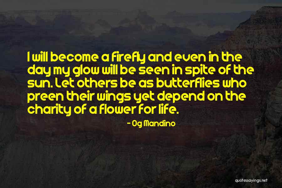 Butterflies Quotes By Og Mandino