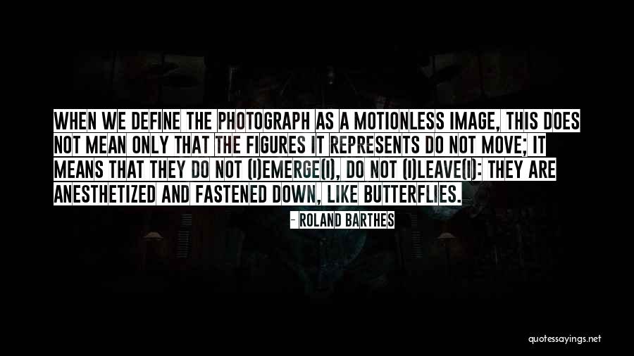 Butterflies Quotes By Roland Barthes Butterflies Quotes By Roland Barthes