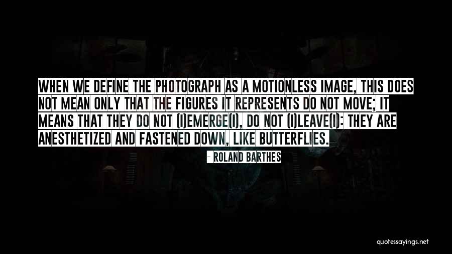 Butterflies Quotes By Roland Barthes