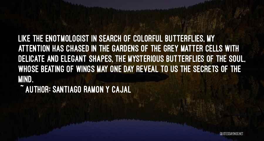 Butterflies Quotes By Santiago Ramon Y Cajal