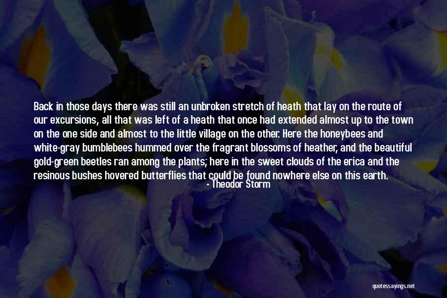 Butterflies Quotes By Theodor Storm Butterflies Quotes By Theodor Storm
