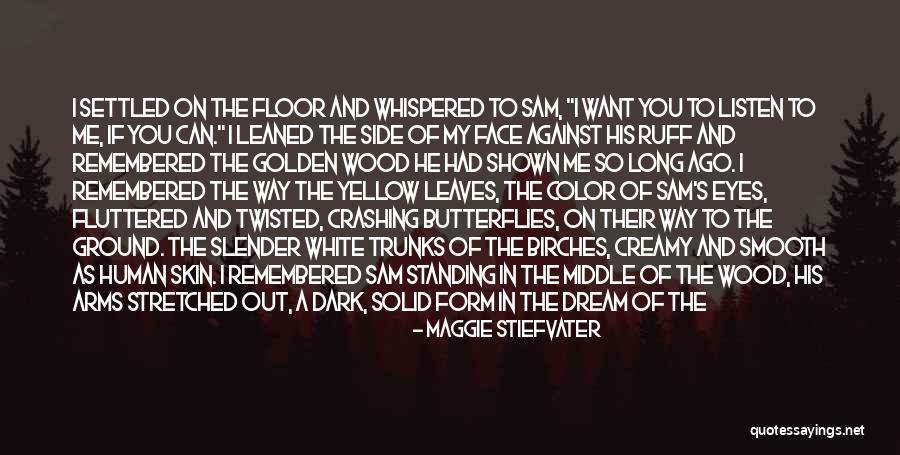 Butterflies When We Kiss Quotes By Maggie Stiefvater