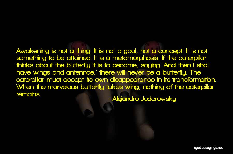 Butterfly And Caterpillar Quotes By Alejandro Jodorowsky