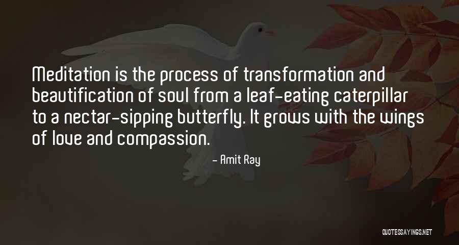 Butterfly And Caterpillar Quotes By Amit Ray