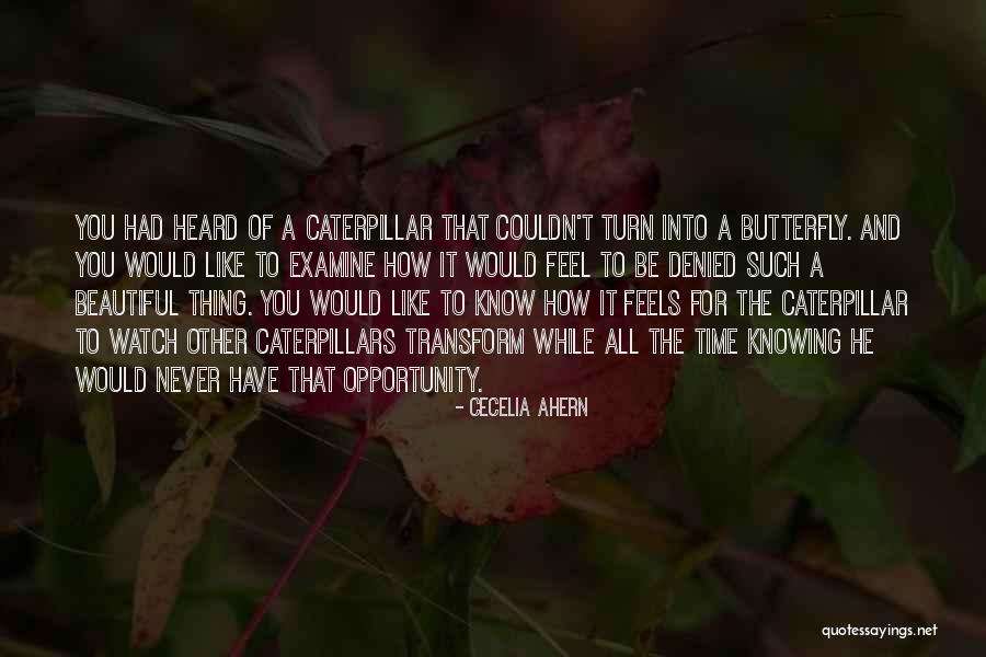 Butterfly And Caterpillar Quotes By Cecelia Ahern