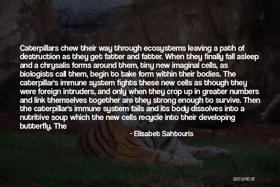 Butterfly And Caterpillar Quotes By Elisabet Sahtouris