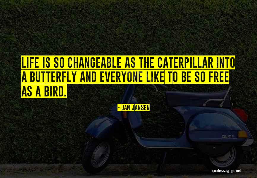 Butterfly And Caterpillar Quotes By Jan Jansen Butterfly And Caterpillar Quotes By Jan Jansen