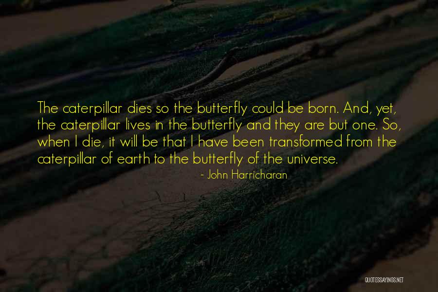 Butterfly And Caterpillar Quotes By John Harricharan