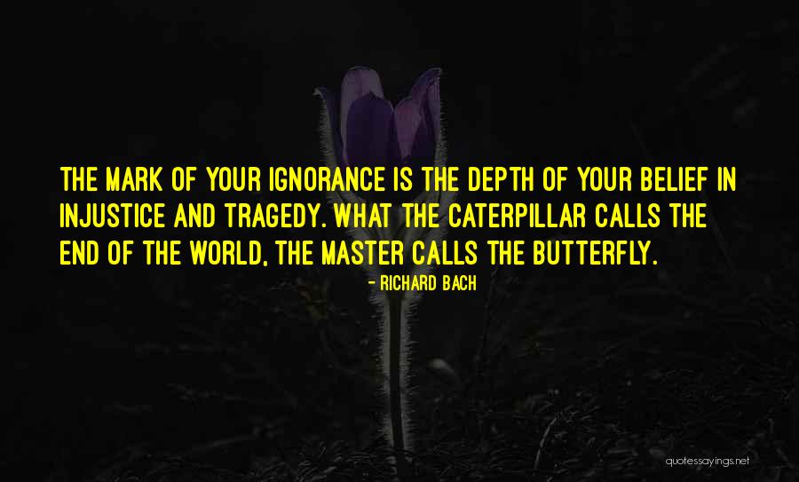 Butterfly And Caterpillar Quotes By Richard Bach Butterfly And Caterpillar Quotes By Richard Bach