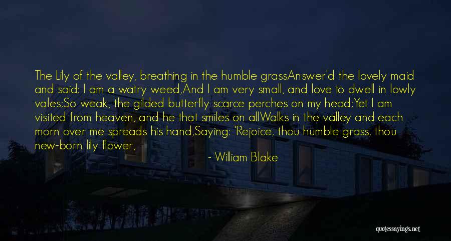 Butterfly And Flower Love Quotes By William Blake Butterfly And Flower Love Quotes By William Blake
